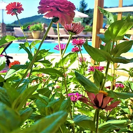 Harvest Moon Aparthotel
