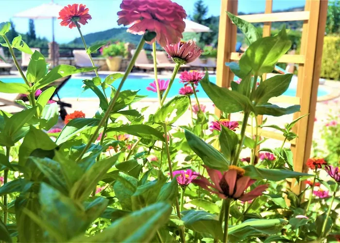 Harvest Moon 4* Lixouri